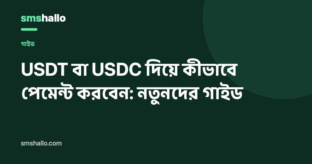 USDT বা USDC দিয়ে কীভাবে পেমেন্ট করবেন: নতুনদের জন্য গাইড