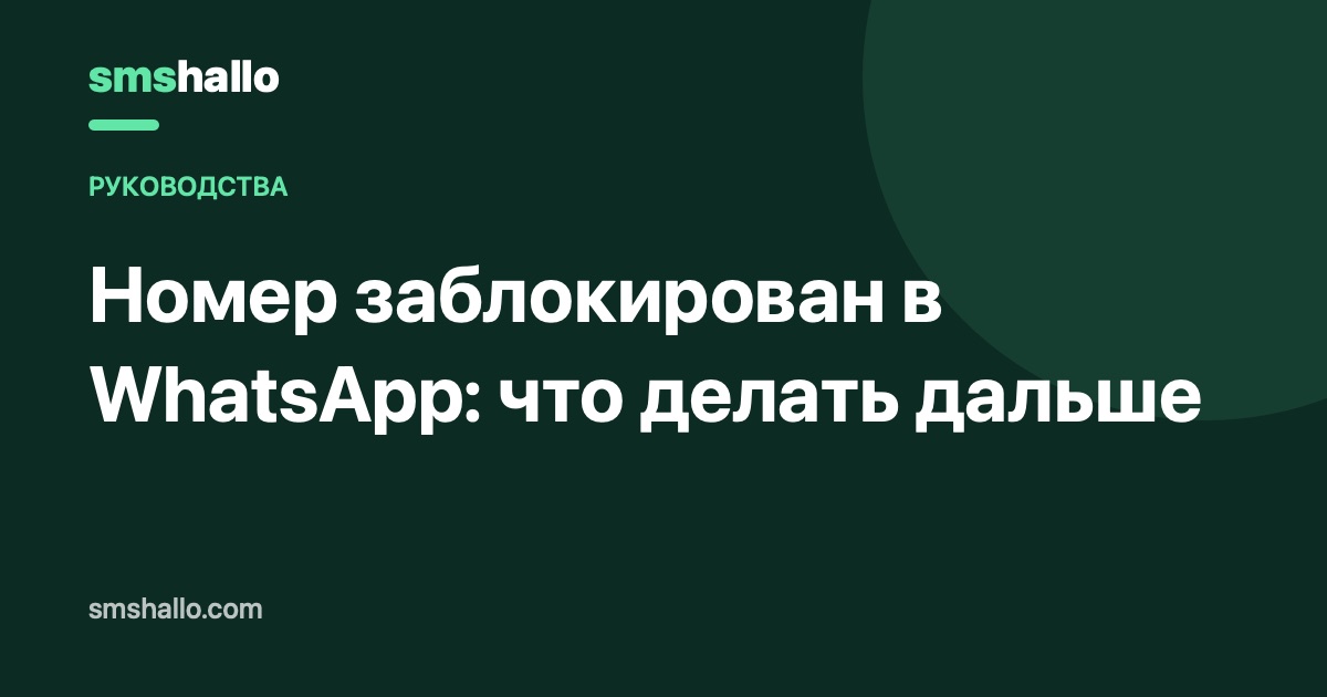Номер заблокирован в WhatsApp: что делать дальше