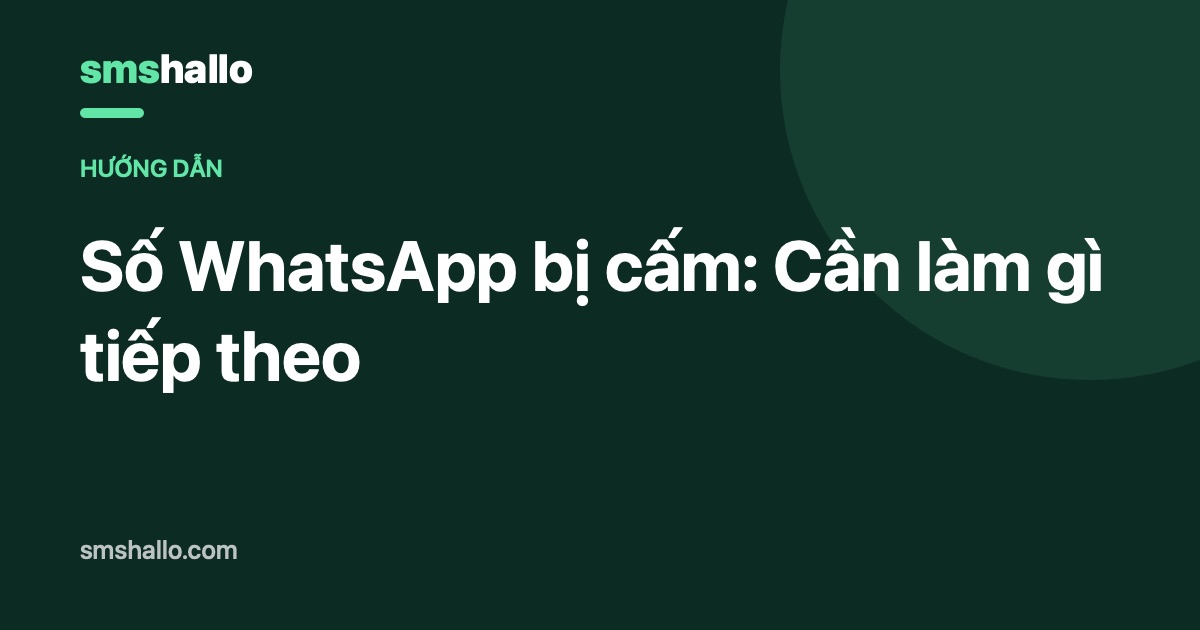 Số WhatsApp bị cấm: Cần làm gì tiếp theo