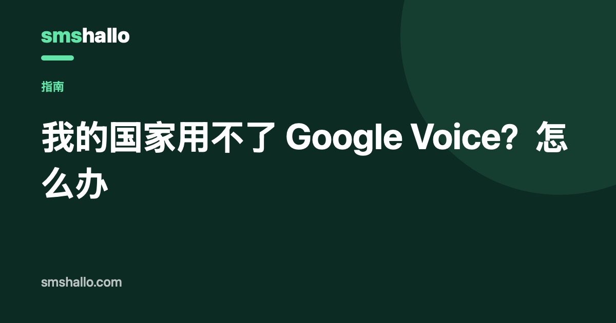 我的国家用不了 Google Voice?怎么办